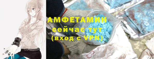 крисы Абаза
