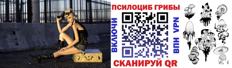 Псилоцибиновые грибы Psilocybe  Кяхта 